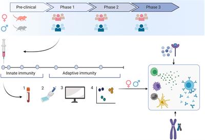 Sex Differences in Immunity: Implications for the Development of Novel Vaccines Against Emerging Pathogens